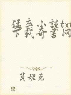 猛卒小说txt下载奇书网