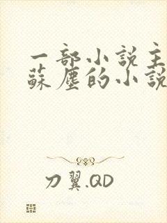 一部小说主角叫苏尘的小说