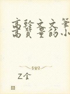 高干文文笔好的高质量的小说现代言情