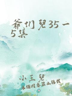 爷们儿35一45集