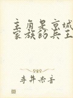 主角是京城顶级家族的兵王小说