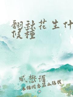 翻秋花生什么时候种