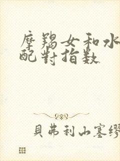 摩羯女和水瓶女配对指数