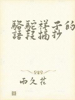 骆驼祥子的精彩语段摘抄