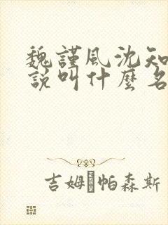 魏谨风沈知玉小说叫什么名字
