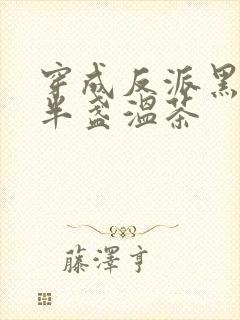 穿成反派黑月光半盏温茶