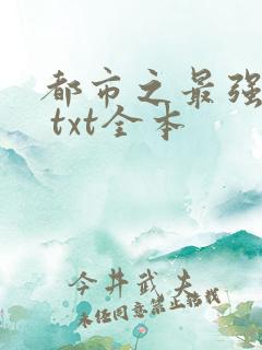 都市之最强狂兵 txt全本