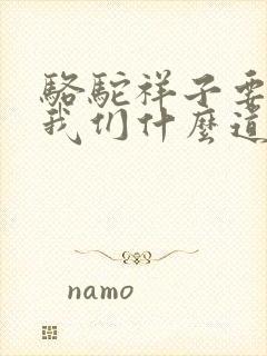 骆驼祥子要告诉我们什么道理