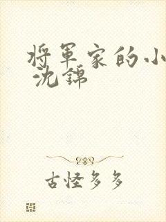 将军家的小娘子 沈锦