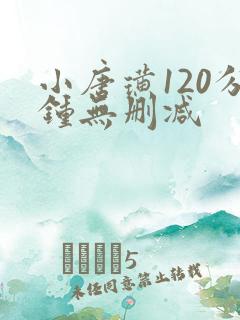 小唐璜120分钟无删减