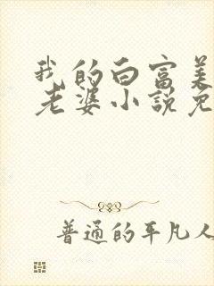 我的白富美总裁老婆小说免费阅读