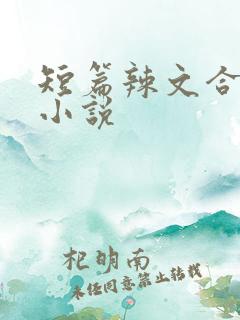 短篇辣文合集的小说