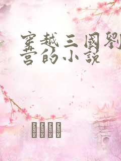 穿越三国刘备阵营的小说