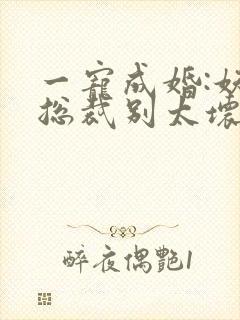 一宠成婚:妖孽总裁别太坏