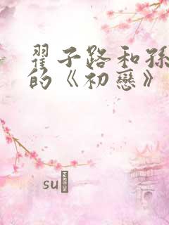翟子路和孙千演的《初恋》