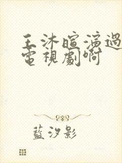 王沐暄演过什么电视剧啊