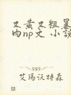 又黄又粗暴的纯肉np文 小说