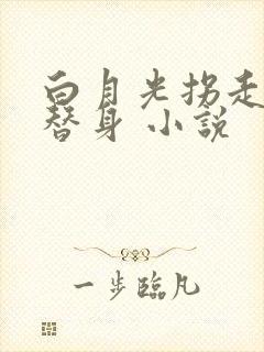 白月光拐走了小替身 小说