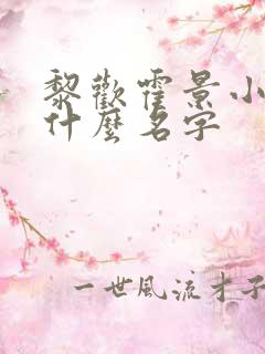 黎欢霍景小说叫什么名字