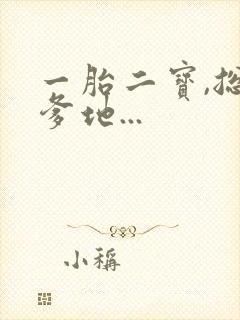 一胎二宝,总裁爹地...