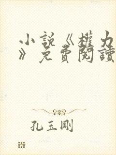 小说《权力巅峰》免费阅读