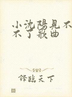 小沈阳见不到忘不了歌曲