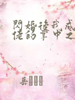 闪婚后我成了大佬的掌中之物最新版