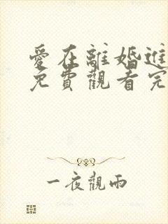 爱在离婚进行时免费观看完整版高清