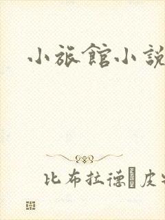 小旅馆小说