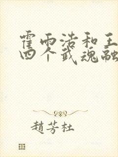霍雨浩和王冬的四个武魂融合技