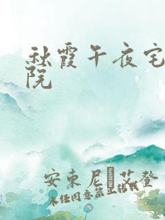 秋霞午夜宅男影院