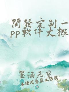 开发定制一个app软件大概多少钱