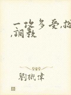 一攻多受,总攻,调教