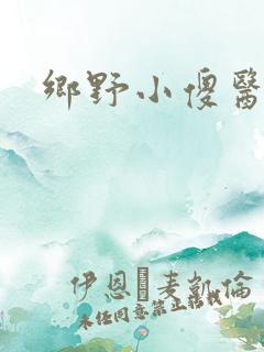 乡野小傻医小说