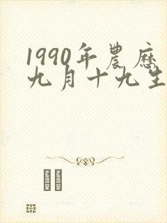1990年农历九月十九生辰八字