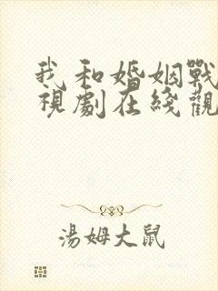 我和婚姻战斗电视剧在线观看