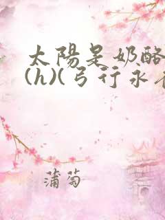 太阳是奶酪做的(h)(弓行永夜)