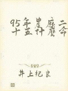 95年农历二月十五什么命