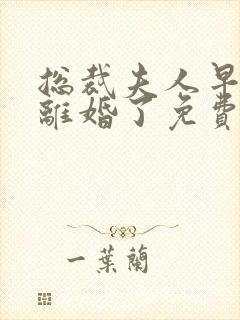 总裁夫人早就想离婚了免费阅读