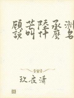 顾芒陆承洲的小说叫什么名字