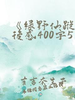 《绿野仙踪》读后感400字5篇