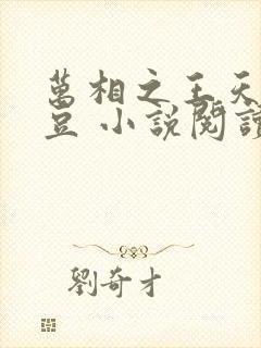 万相之王天蚕土豆 小说阅读