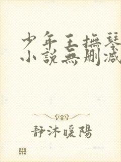 少年王抚琴的人小说无删减版