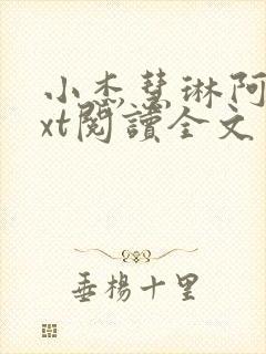 小杰慧琳阿姨txt阅读全文