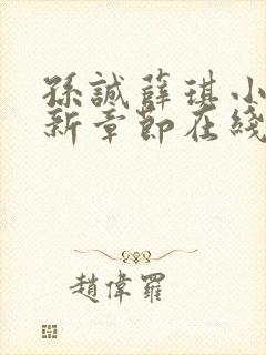 孙诚薛琪小说最新章节在线阅读