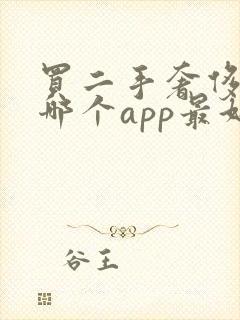 买二手奢侈品在哪个app最好