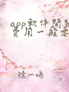 app软件开发费用一般要多钱