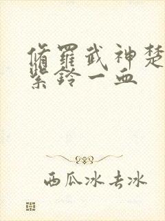 修罗武神楚枫和紫铃一血