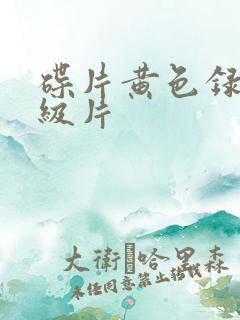 碟片黄色录像一级片