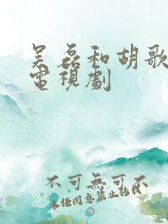 吴磊和胡歌演的电视剧